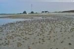 Westlicher Rand vom Geniusstrand