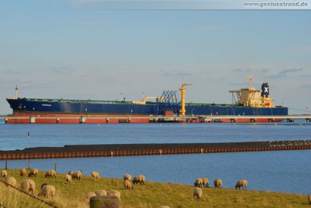 Der Supertanker Australis am NWO-Löschkopf Nr. 4