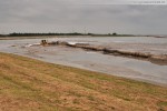 Hafenbaustelle Jade-Weser-Port: Spülarbeiten in Deichnähe