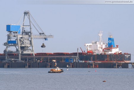 Die Cape Falcon löscht 120.000 t Steinkohle an der Niedersachsenbrücke