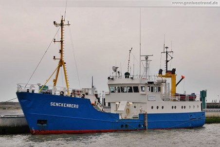 Das Forschungsschiff Senckenberg im Heimathafen Wilhelmshaven