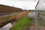 JadeWeserPort: Entlang an der teilweise abgerissen Lärmschutzwand