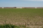 JadeWeserPort: Die aufgespülte Flache wird per Nassansaat begrünt