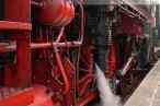 Dampflokomotive 01 1066 vom Ulmer Eisenbahnfreunde e.V. in Wilhelmshaven