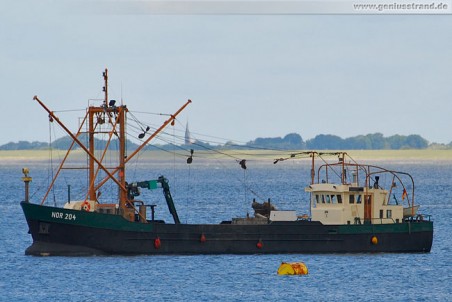 Fischfangboot Andrea (NOR 204) im Jadefahrwasser