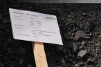 Tag der offenen Tür im E.On Kraftwerk Wilhelmshaven