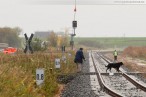 Voslapper Groden Süd: Montage der Eisenbahnsignale per Hubschrauber