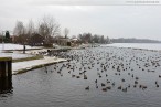 Winterbilder aus Wilhelmshaven 2011 - Banter See