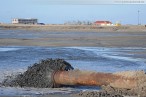 Am Spülfeld der JadeWeserPort Baustelle