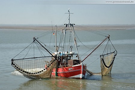 Fischkutter Jan Maat (VAR-16) am Alten Vorhafen