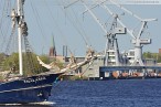 Wilhelmshaven: Das Segelschiff Thalassa (Schonerbark) im Innenhafen