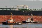 Supertanker Front Champion (Very Large Crude Carrier) in Wilhelmshaven