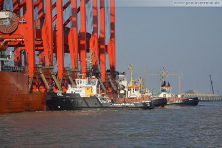 JadeWeserPort: Spezialfrachtschiff Zhen Hua 23 bringt vier Containerbrücken