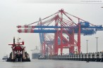 Van Carrier Terex Noell SC644 E am JadeWeserPort