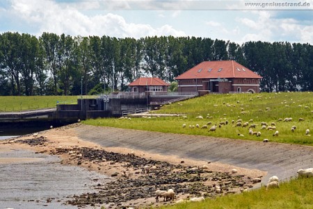 Das Maadesiel mit der Seeschleuse