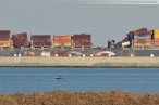 Wilhelmshaven: Containerschiff MSC Flaminia hat den JadeWeserPort erreicht