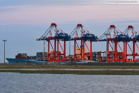 Wilhelmshaven JadeWeserPort: Containerschiff Maersk Bentonville an der Kaje