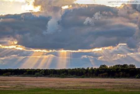 Stadtgrenze Wilhelmshaven: Sonnenuntergang im Voslapper Groden-Nord