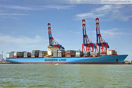 Containerterminal Wilhelmshaven (CTW): Containerschiff Elly Maersk