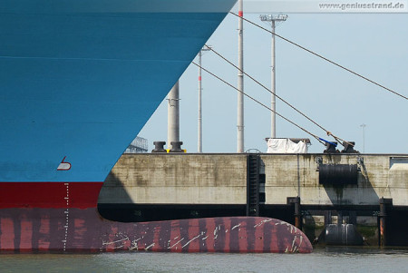 Container Terminal Wilhelmshaven (CTW): Containerschiff Elly Maersk