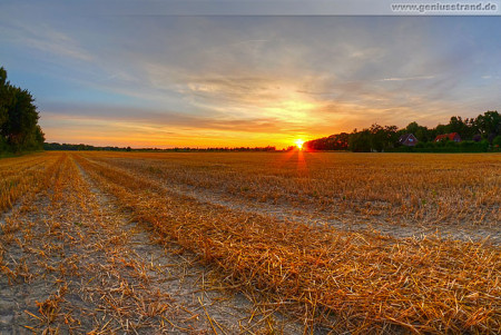 Wilhelmshaven: Sonnenuntergang an der Helderei