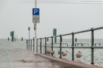 Wilhelmshaven: Sturmtief GONZALO beschert Sturmflut