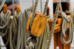 Bilder vom 13. JadeWeserPort-Cup in Wilhelmshaven