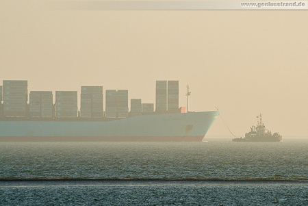 Container Terminal Wilhelmshaven (CTW): Skagen Maersk beim Einlaufen