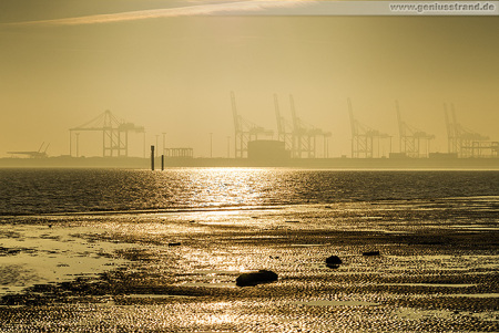 Containerbrücken vom Container Terminal Wilhelmshaven (CTW) im Gegenlicht