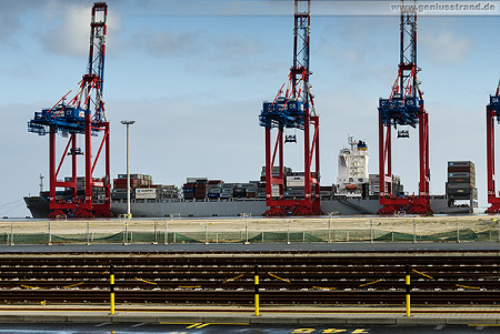 Eurogate Container Terminal Wilhelmshaven: Containerschiff Maersk Elgin