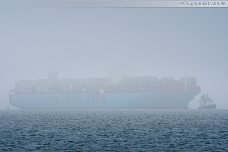 Containerterminal Wilhelmshaven (CTW): Containerschiff MAERSK EDMONTON