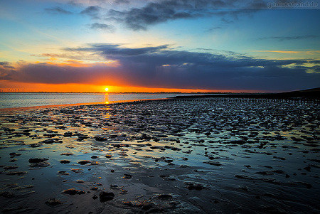 Wilhelmshaven: Sonnenuntergang im Banter Watt