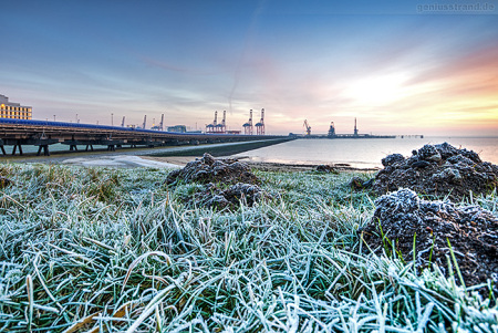 Niedersachsenbrücke und der Container Terminal Wilhelmshaven im Winter