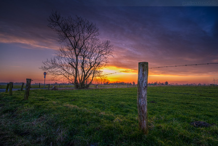 Wilhelmshaven Stadtteil Fedderwarden: Sonnenuntergang in Schilldeich