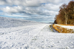 Aktuelle Winterbilder aus Wilhelmshaven (Banter Seedeich)