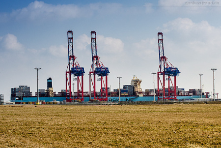 Container Terminal Wilhelmshaven (CTW): MAERSK ESSEN