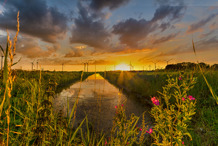 Sonnenuntergang in Wilhelmshaven Stadtteil Sengwarden/Utters