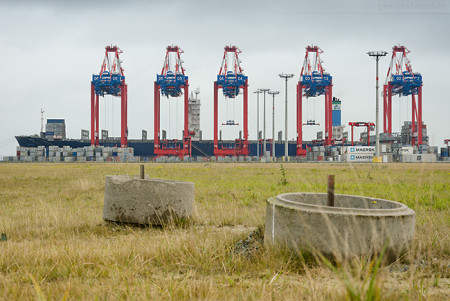 Containerschiff DALI (L 300 m) am JadeWeserPort in Wilhelmshaven