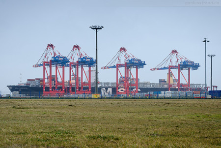 Jade Weser Port Schiffsankunft: Containerschiff MSC DANIELA (Typschiff)