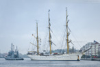 Wilhelmshaven: Segelschulschiff GORCH FOCK am Bontekai (Open Ship)