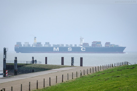 Schiffsankunft JadeWeserPort: Containerschiff MSC REGULUS (L 366 m)