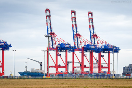 JadeWeserPort Schiffsankünfte: Containerschiff MAERSK NEWCASTLE