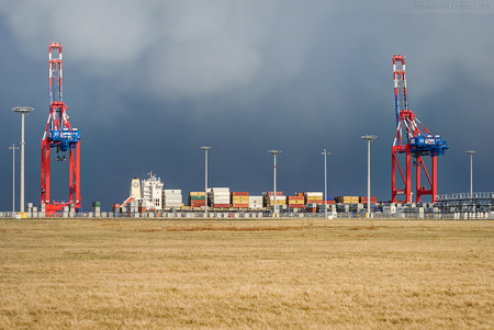 Containerschiff MSC RAFAELA (L 244 m) am JadeWeserPort