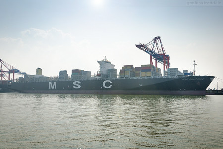 Containerschiff MSC LAURENCE (L 366 m) erstmalig am JadeWeserPort