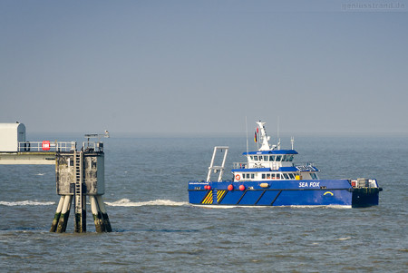 Wilhelmshaven: Crew Transfer Vessel SEA FOX (L 24 m) der Enviro-Serve Ltd.