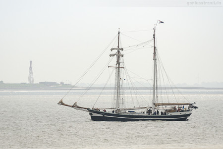 Wilhelmshaven: Toppsegelschoner BANJAARD (L 38 m) auf Tagestörn