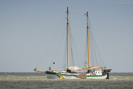 Das Greenpeace-Segelschiff BELUGA II vor Hooksiel