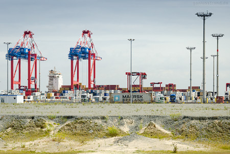 Container Terminal Wilhelmshaven: Containerschiff MSC ANGELA (L 265 m)