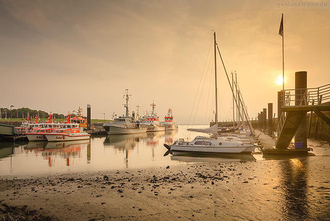 WILHELMSHAVEN: Jahresrückblick 2016 in Bildern