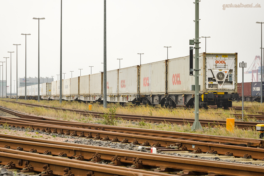 GLEISANBINDUNG CONTAINERTERMINAL WILHELMSHAVEN: Containerzüge am Bahnhof JadeWeserPort